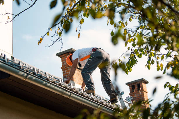 Best Roof Waterproofing Services  in Lechee, AZ