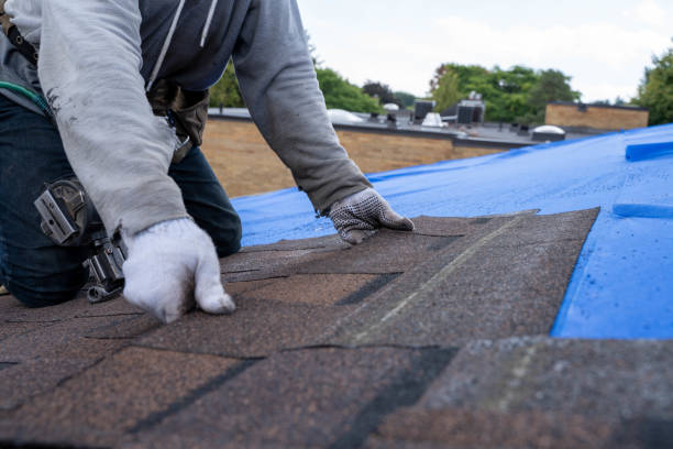 Best Flat Roof Repair Services  in Lechee, AZ